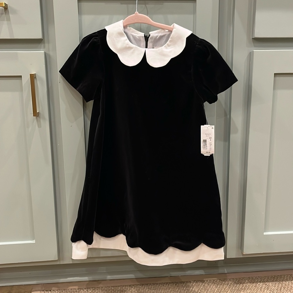 Edgehill Collection, 5T, scalloped collar, black velvet